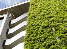 立體綠化獎(jiǎng)勵(lì)補(bǔ)助政策有哪些？