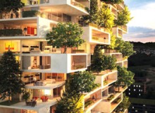 規(guī)則匯總｜立體綠化如何折算綠地面積？