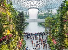 打造生態(tài)化公共空間，助力人文機(jī)場(chǎng)建設(shè)