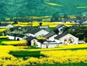 四部門印發《“十四五”鄉村綠化美化行動方案》，哪些亮點值得關注？