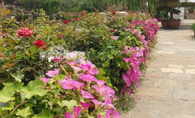 景區河岸景觀提升