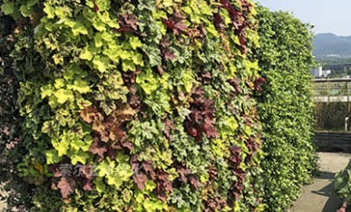 商務中心屋頂花園案例