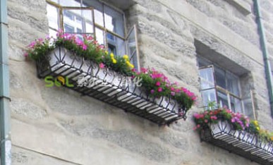 廬山植物園窗臺(tái)綠化