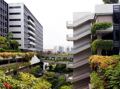 學(xué)校立體綠化解決方案簡介