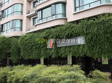 門店立體綠化解決方案簡介