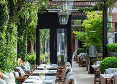 餐廳立體綠化解決方案