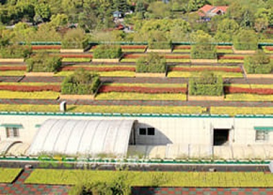 屋頂綠化解決方案