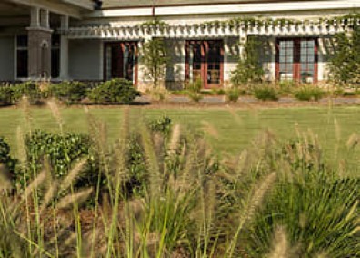 會所園林景觀解決方案