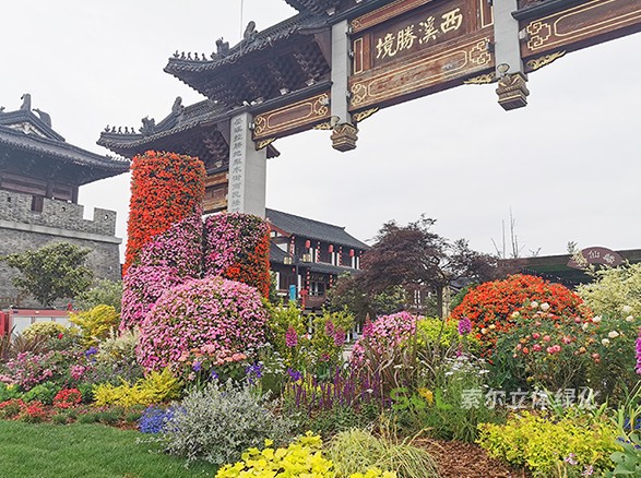 東臺西溪古鎮(zhèn)景區(qū)五一景觀提升