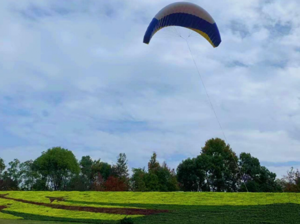《暢想藍天·筑夢飛行》——南康飛行小鎮(zhèn)邊坡綠化