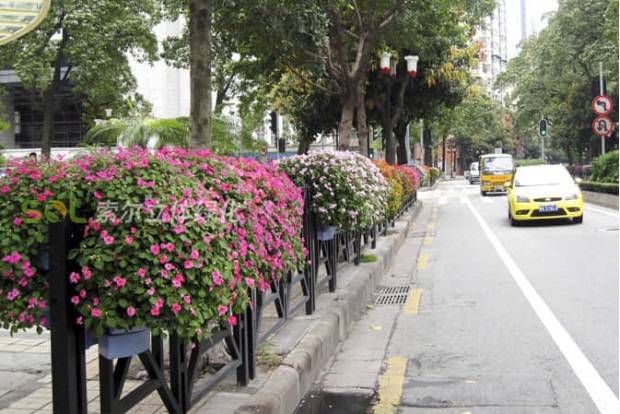 市政道路景觀提升
