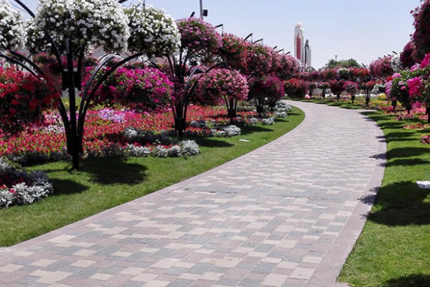 花樹景觀設計實際效果圖