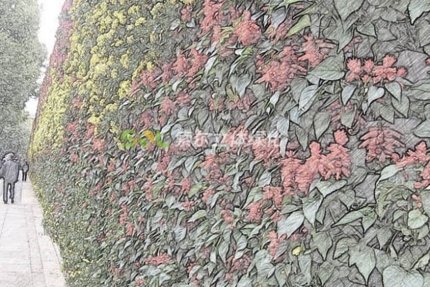 植物墻設計效果圖