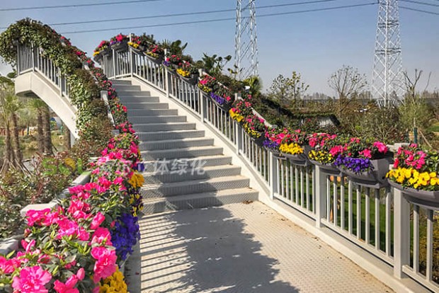 人行天橋綠化景觀設計實際效果圖