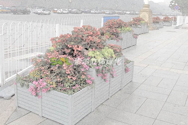 組合造景景觀設計效果圖