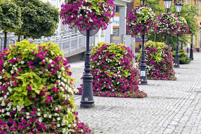 道路街道景觀提升4步行街景觀提升3