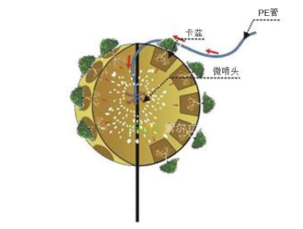 卡盆式景觀花樹灌溉示意圖