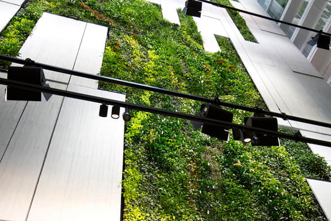 商業(yè)綜合體景觀提升室內植物墻