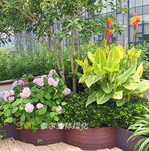 模塊化組合造景