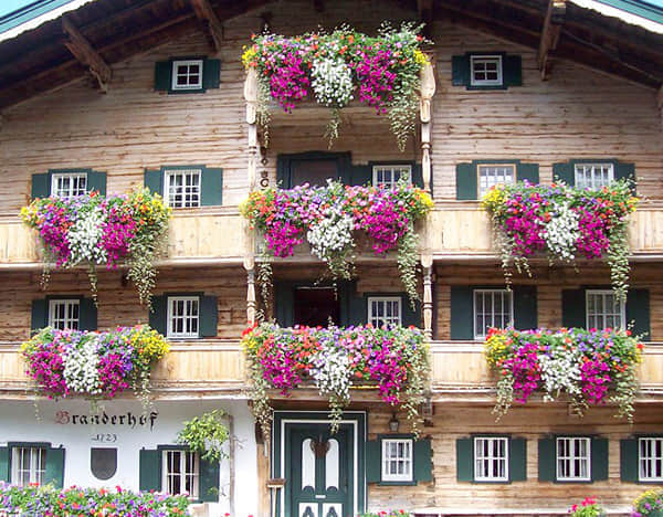 陽臺花園解決方案簡介