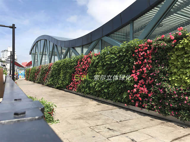 植物墻003.jpg