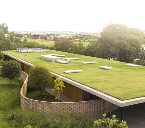 屋頂綠化解決方案簡介