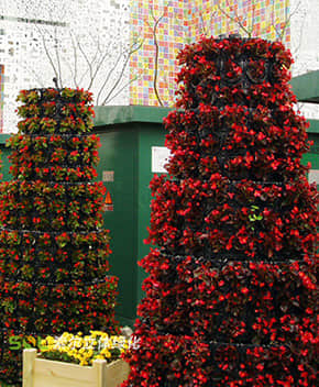 鮮花瀑布/拱門(mén)解決方案