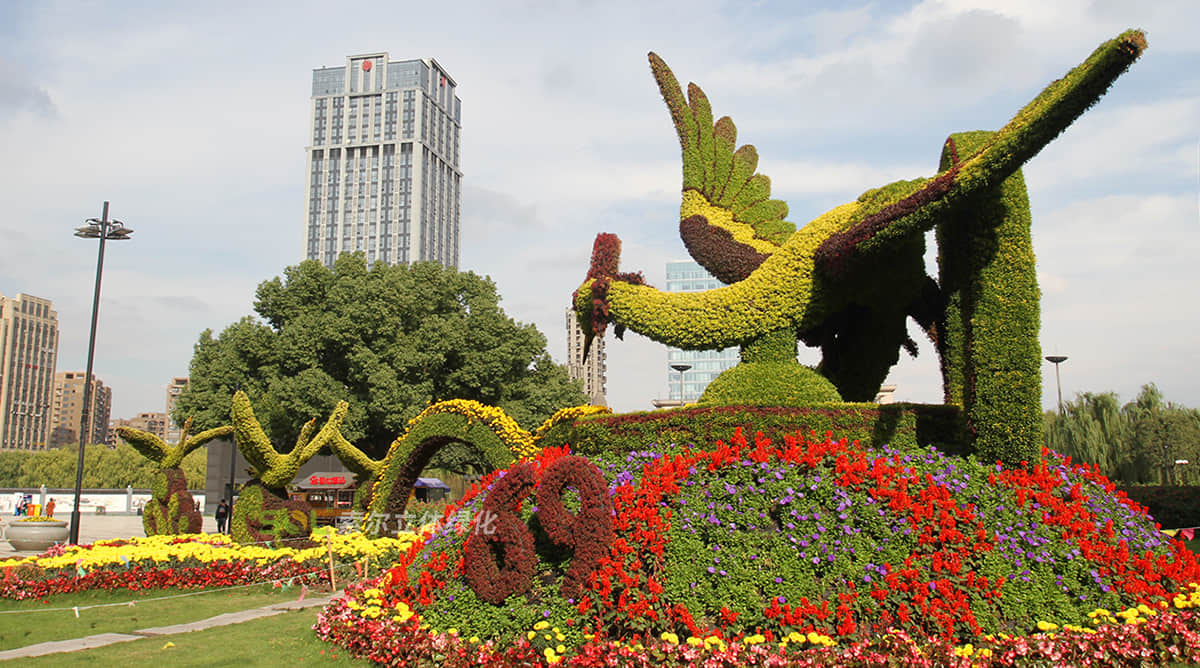 杭州余杭國慶主題綠雕“百鳥朝鳳”