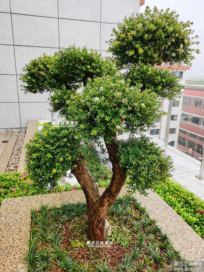 07 2019年7月浙江金華巨宏工貿(mào)辦公大樓屋頂花園項目.jpg