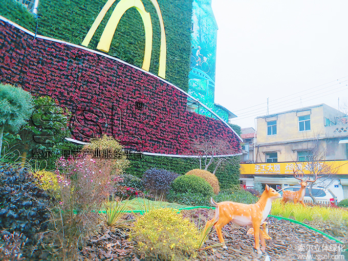 01 2021年1月安徽宿州立體綠化項(xiàng)目 (10).jpg