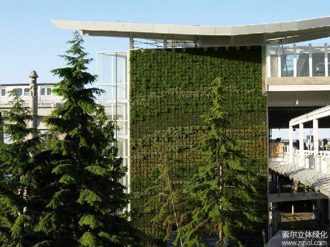 23溫哥華國際機(jī)場植物墻.jpg