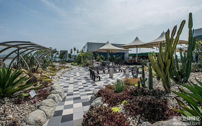 32新加坡樟宜機(jī)場屋頂花園仙人掌花園02.jpg