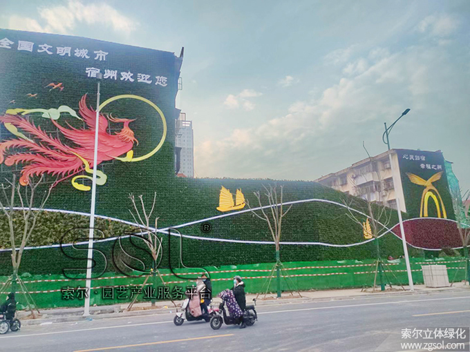 14  2021年1月安徽宿州立體綠化項(xiàng)目 (13).jpg