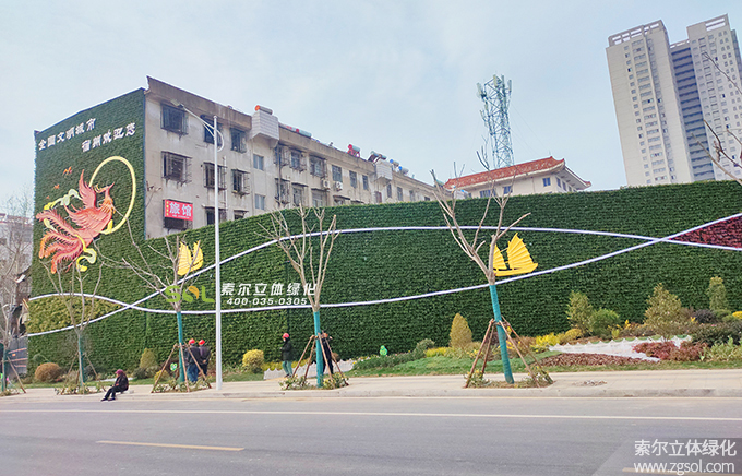 44 2021年1月安徽宿州老舊小區(qū)景觀提升立體綠化項目-地點老二中廣場文苑巷西側(cè) (12).jpg