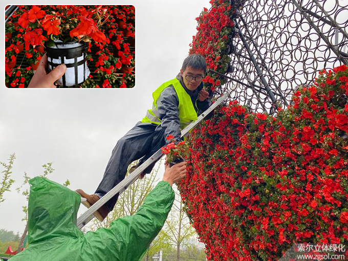 25山東青島膠州市民文化中心五一立體花壇“幸福花開”  (24).jpg