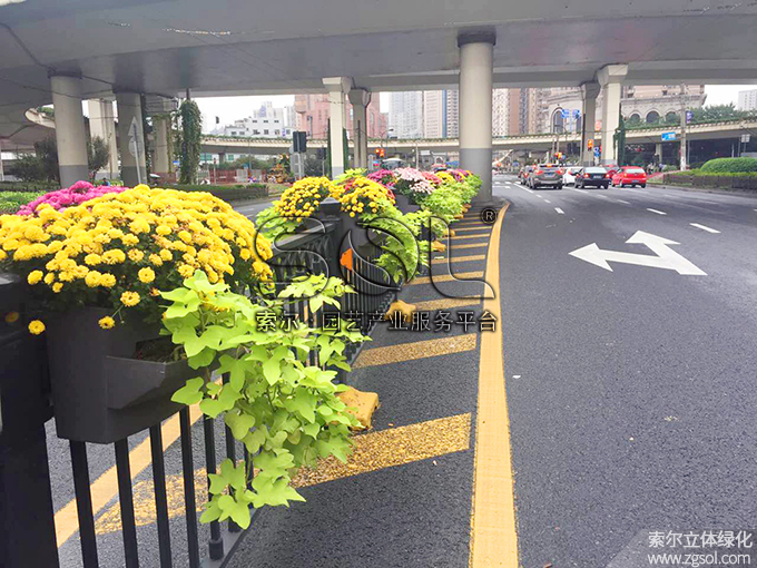 18護欄綠化 (6).jpg